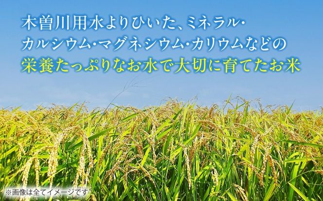 【12回定期便】あいちのかおり 白米 10kg×12か月 / 脇野コンバイン[AECP009]