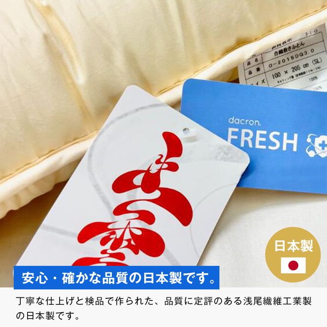 インビスタ ダクロン3.0kg入 バルキーファイバーフィル 清潔 ふんわり敷ふとんS