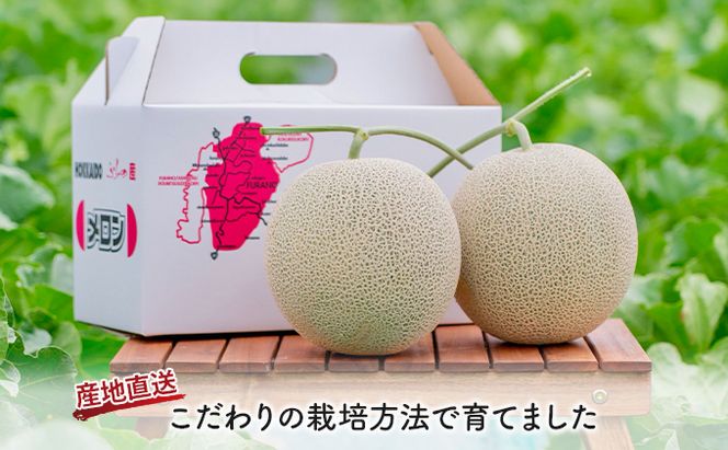 【2026年夏発送】北海道 富良野産 赤肉メロン 2玉 計3kg以上 ふらの メロン ギフト 果物 赤玉(榎本農園) メロン フルーツ 果物 新鮮 甘い 贈り物 ギフト 道産 ジューシー おやつ ふらの ブランド 夏 