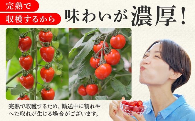 ＜先行予約＞赤系ミニトマトMix(たっぷり2kg)｜北海道 伊達市 野菜 新鮮 ふるさと納税 送料無料【ffk-004】