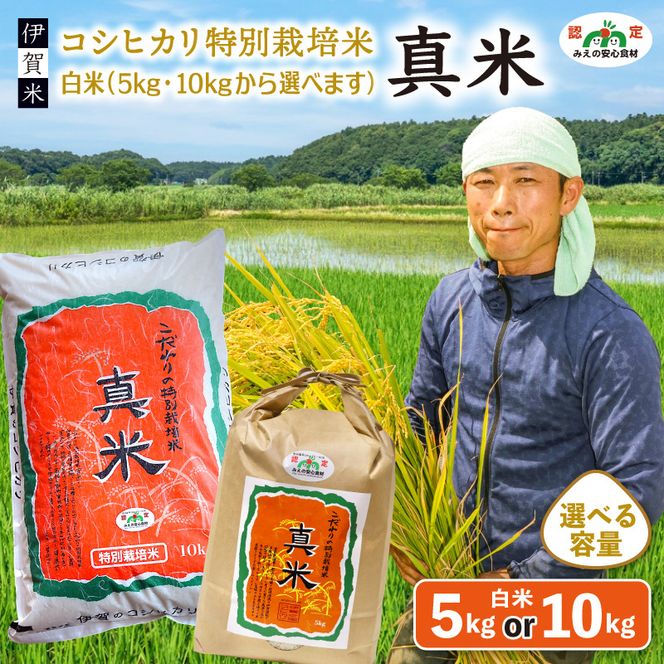 伊賀米コシヒカリ特別栽培米「真米」白米5kg×3回お届け定期便【ymnk-tkb0001】
