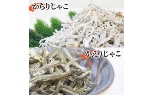 【CF-R7hbk】おじゃこ食べ比べセット ゆず酢・タレ付き シラス 小分け じゃこ ちりめんじゃこ ふわふわ 国産 釜揚げ かちりじゃこ しらす丼 海鮮丼 ごはん ご飯 おにぎり おかず お取り寄せ 美味しい