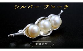 【 数量限定 】 シルバー ブローチ アクセサリー ジュエリー レディース パール 個性的 記念 ギフト 贈り物 [BU007us]