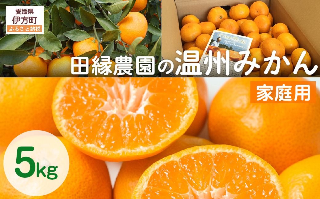 [先行予約][家庭用]温州みかん 5kg ※離島への配送不可 (2026年11月10日より順次発送)