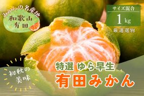 【初秋の美味】特選　ゆら早生有田みかん　約1kg+200g(傷み補償分)【2026年10月中旬～11月上旬頃に順次発送予定】【ard234】