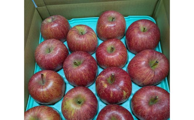 【2026年12月発送】サンふじ 訳あり家庭用 約5kg 12～23玉 りんご 果物 訳あり 信州 長野