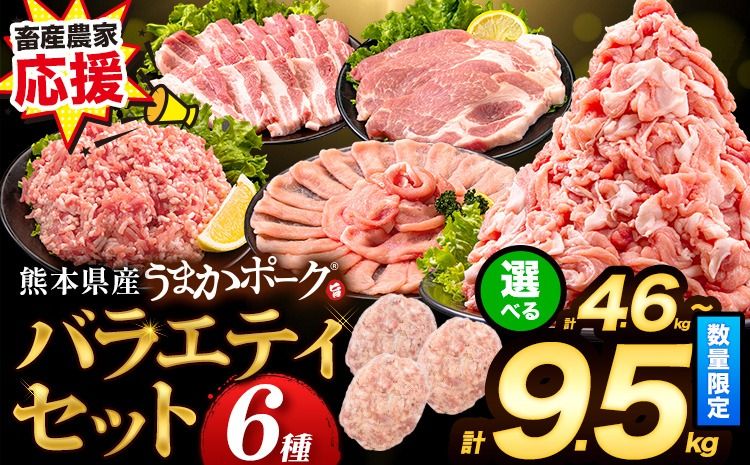 数量限定★生産者応援★ 豚肉 小分け バラエティ セット うまか ポーク しゃぶしゃぶ 切り落とし 豚ロース バラ 豚バラ 豚バラ肉 スライス 選べる 4.6kg 9.2kg 4kg 以上 真空 お楽しみセット 不揃い 数量限定 簡易包装 冷凍配送 [5月中旬-6月末頃出荷]---fn_fozpfs_25_bc5_15000_4600g---