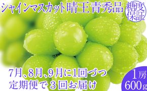 2026年予約受付中【3回定期便】シャインマスカット晴王 1房 約600g 7月8月9月に出荷 人気 岡山県産 種無し 皮ごと食べる みずみずしい   おかやま 果物大国 ハレノフルーツ