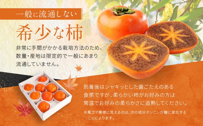 ［2026年発送分］先行予約！ 紀の川柿（果実の中身が黒い！黒蜜柿）希少栽培！ 秀品 6個～9個 こだわり農家厳選！［KG34］ 303446_XM90034
