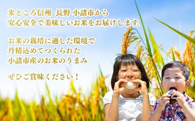 お米マイスターおすすめ小諸米 精米 3kg 信州 長野 ごはん ご飯 コメ コシヒカリ あきたこまち つきあかり 風さやか ひとめぼれ ゆうだい21