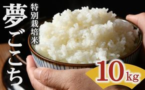 夢ごこち＜特別栽培米＞精米 10㎏（減農薬 有機肥料 お米 米 おこめ こめ 白米 ゆめごこち）【002312A】