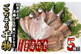 ごちそう干物5種セット (11尾・5種) 簡単 調理 干物 たい タイ 鯛 あじ アジ かます カマス さば サバ 丸干し 開き みりん干し 魚 海鮮 冷凍 詰め合わせ セット 大分県 佐伯市【AQ76】【(株)やまろ渡邉】