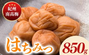 紀州南高梅はちみつ塩分約10％（850g）