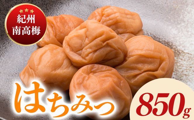 紀州南高梅はちみつ塩分約10％（850g）