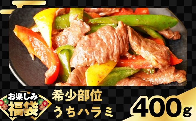 mrz0090 お楽しみ福袋 4種 2kgセット（牛肉 切り落とし／牛ハラミ／豚肉／鶏肉）【氷温熟成×極味付け】