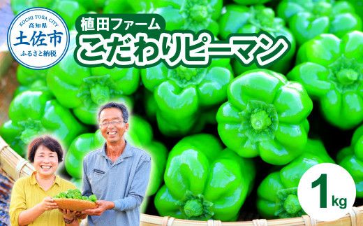 高知県産 植田ファームのこだわりピーマン 1kg ピーマン 甘い 新鮮野菜 サラダ 野菜 おかず 詰め合わせ 絶品 お取り寄せ 美味しい 料理【株式会社　植田ファーム】 [BQAT001] 