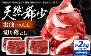 猪肉 切り落とし 2kg 雲仙いのしし モモ ウデ / 肉 イノシシ ジビエ いのしし 焼肉 ぼたん鍋 切り落とし / 南島原市 / もりのめぐみ[SDB016]