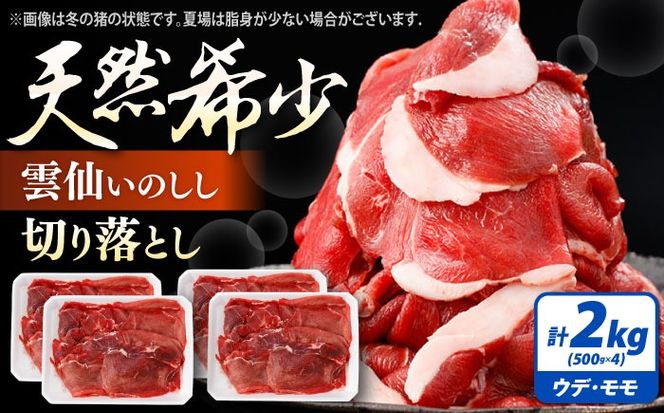 猪肉 切り落とし 2kg 雲仙いのしし モモ ウデ / 肉 イノシシ ジビエ いのしし 焼肉 ぼたん鍋 切り落とし / 南島原市 / もりのめぐみ[SDB016]