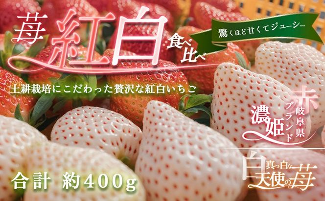 【先行予約】天使のいちご 紅白セット 苺 約400g いちご 詰め合わせ セット 岐阜県 海津市