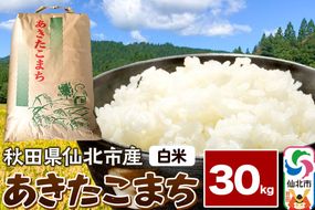 【白米】令和7年産 あきたこまち 30kg 米 お米 こめ 精米 秋田県 仙北市産|02_kwm-013001