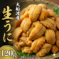 【期間限定】生うに 120g 大船渡産 ミョウバン不使用 冷蔵 うに ウニ 海鮮丼 岩手 三陸 大船渡