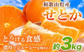 【先行予約】 とろける食感!ジューシー柑橘 せとか 約3kg 株式会社魚鶴《2026年2月下旬-3月下旬頃出荷》 和歌山県 日高川町 みかん 柑橘 果物 フルーツ 送料無料---wshg_uot105_2g3g_25_18000_3kg---