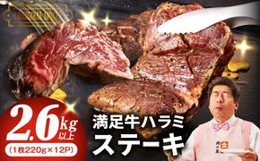 099H4194 【満足牛ハラミステーキ】オリジナルスパイス仕込み 1枚220g×12P 合計2.64kg 【味付け ハラミ ステーキ 小分け 焼くだけ 簡単調理 BBQ 牛肉 普段使い】
