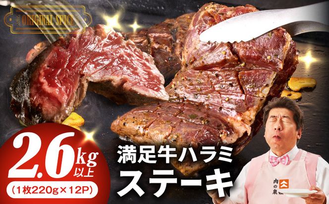 099H4194 【満足牛ハラミステーキ】オリジナルスパイス仕込み 1枚220g×12P 合計2.64kg 【味付け ハラミ ステーキ 小分け 焼くだけ 簡単調理 BBQ 牛肉 普段使い】