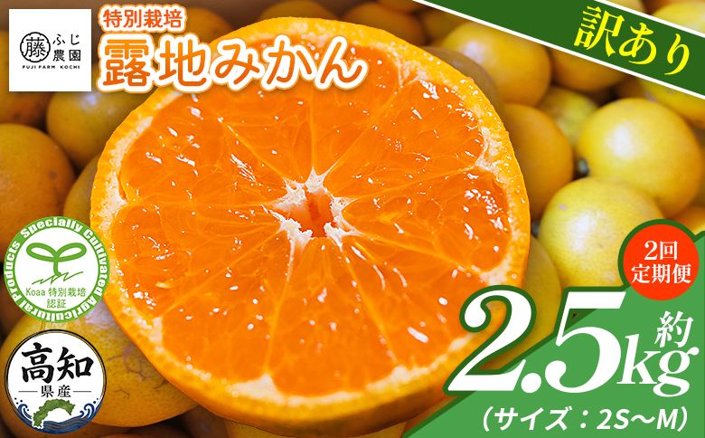 [2回定期便] みかん ふじ農園の露地みかん 訳あり品 2.5kg(2S〜M) 国産 小玉 蜜柑 ミカン 柑橘 果物 フルーツ 訳アリ ご家庭用 自宅用 ふじ農園 高知県 香南市 Wfn-0019