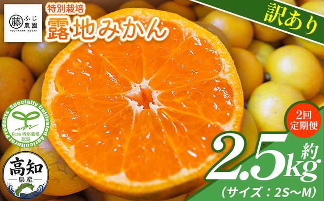【2回定期便】 みかん ふじ農園の露地みかん 訳あり品 2.5kg(2S～M) 国産 小玉 蜜柑 ミカン 柑橘 果物 フルーツ 訳アリ ご家庭用 自宅用 ふじ農園 高知県 香南市 Wfn-0019