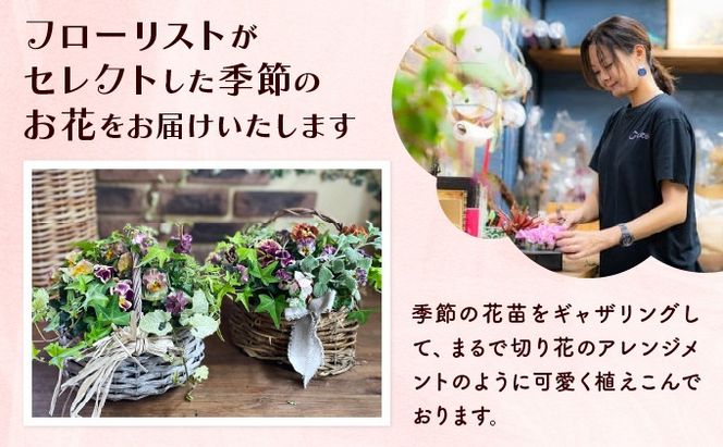 【全5回定期便】季節の寄せ植え ブリコラージュフラワー