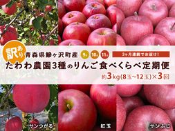 りんご 定期便 3ヶ月 青森 訳あり リンゴ 3種 サンつがる 紅玉 サンふじ 約3kg (8～12玉)  3回 たわわ農園 フルーツ 果物 定期 9月・10月・11月発送予定 オンライン決済限定 