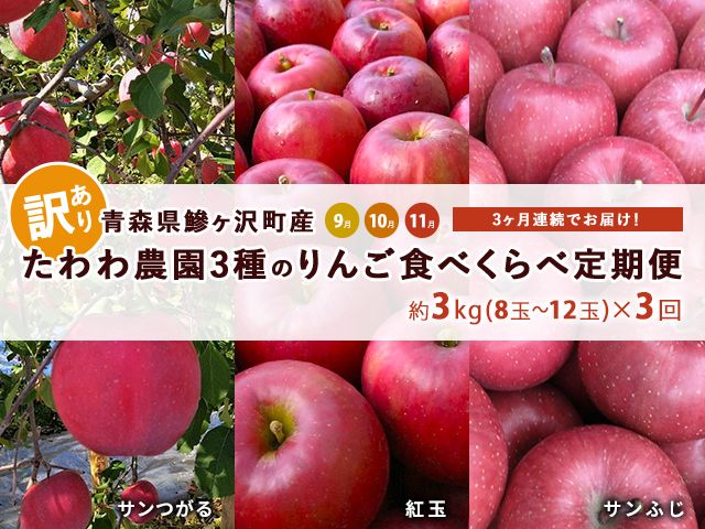 りんご 定期便 3ヶ月 青森 訳あり リンゴ 3種 サンつがる 紅玉 サンふじ 約3kg (8～12玉)  3回 たわわ農園 フルーツ 果物 定期 9月・10月・11月発送予定 オンライン決済限定 