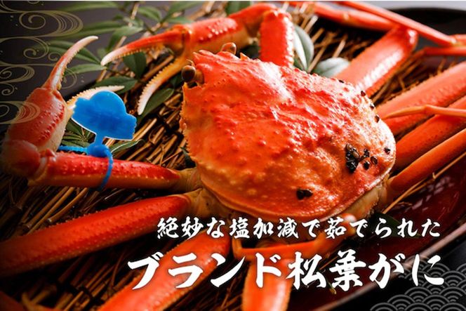 かに卸問屋がお届け・自社釜ゆで！山陰沖ゆで松葉がに 800ｇ～900ｇ 大サイズ（12月発送）／北畿水産　HK00312