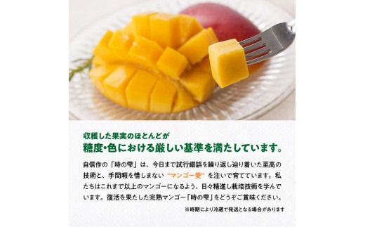【令和8年発送】宮崎県産 完熟マンゴー 「時の雫」  2L×1玉 【 果物 フルーツ マンゴー 国産 宮崎県産 九州産 完熟マンゴー みやざき マンゴー 先行予約 数量限定 期間限定 】 [C08601]