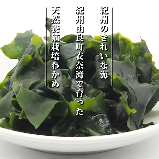 BB6228_紀州衣奈産 乾燥 わかめ 150g × 4 パック （2026年産）