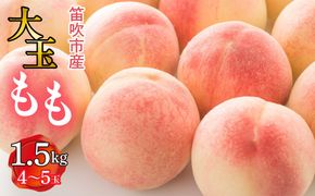 【2026年発送★先行予約】笛吹市産　大玉もも　1.5kg(4～5玉) 227-007-26y