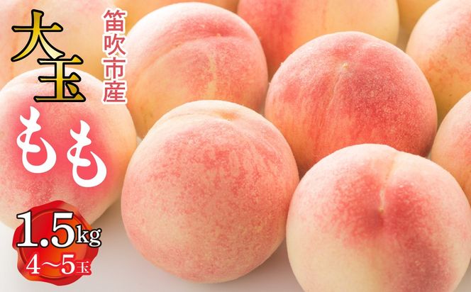 【2026年発送★先行予約】笛吹市産　大玉もも　1.5kg(4～5玉) 227-007-26y
