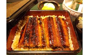 「うなぎ御膳」2名様食事券　池田温泉券付 