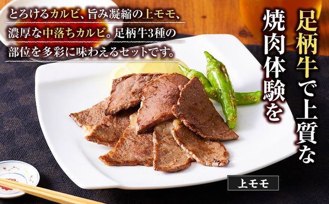 足柄牛3種焼肉セット（カルビ　上モモ　中落カルビ各250ｇ）【 肉 国産  神奈川県 小田原市 】 142069_AG033