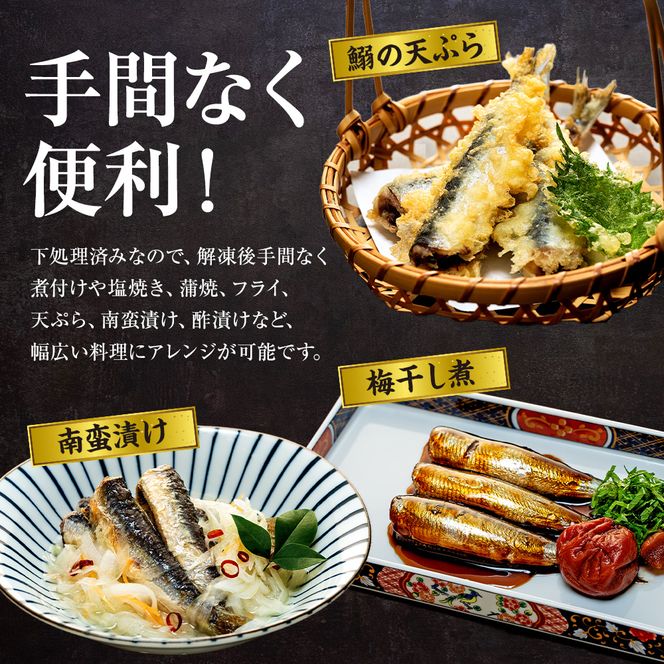 万能いわし 8匹 (約160g～180g) × 10袋 下処理済み