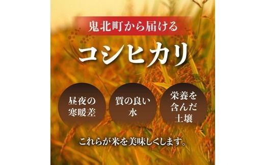 【2ヵ月定期便】【R7年度新米】コシヒカリ 計10㎏（5kg×2回） ｜ ご飯 白米 お米 令和7年産 5kg 10kg 精米済み ※離島への配送不可 ※2025年10月上旬～12月下旬頃に順次発送予定