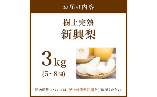 【先行予約】樹上完熟 新興梨 3kg（5～8個）（2026年10月下旬～発送） フルーツ 梨 先行予約 完熟 京都 ふるさと納税 新興梨　BF00024