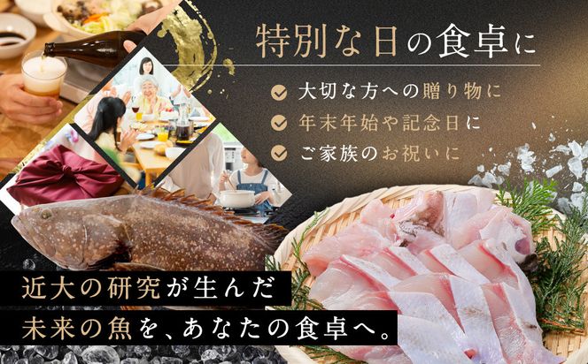 近大クエタマ鍋セット1kg（2026年11月下旬～12月中旬発送） 304018_A022