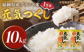 【令和5年産】福岡県産ブランド米「元気つくし」白米 10kg (5kg×2袋)《築上町》【株式会社ゼロプラス】[ABDD003]