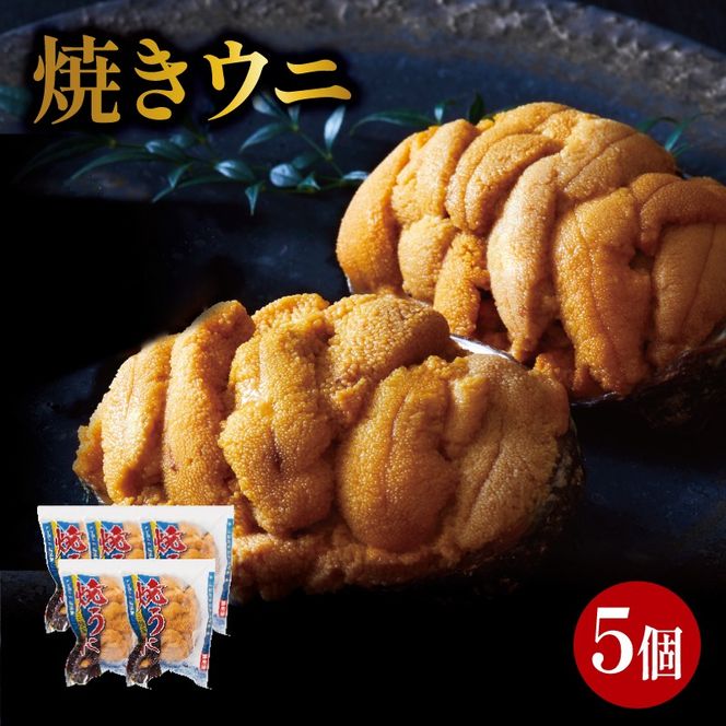 y茧DnszĂ 5 OY _O Ⓚ [shida008_1]