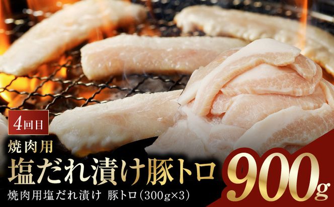 099Z607 アキラ商店 肉三昧 総量 4kg以上 定期便 全4回【毎月配送コース お楽しみ 焼肉 ていきびん 焼くだけ 小分け BBQ やきにく 数量限定】