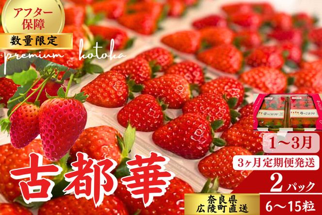 【定期便】苺のごほうび【古都華】270g×2パック 1月～3月発送 3ヶ月定期便 // いちご イチゴ 古都華 奈良 奈良県
