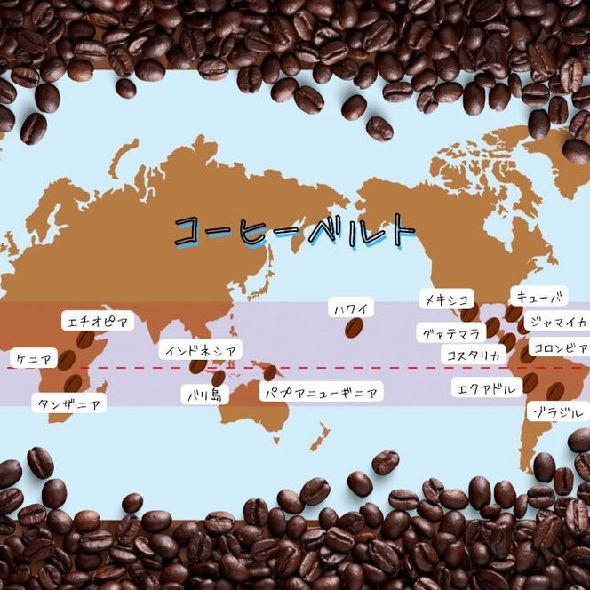 自家焙煎 プレミアム珈琲豆 3種セット（挽き）