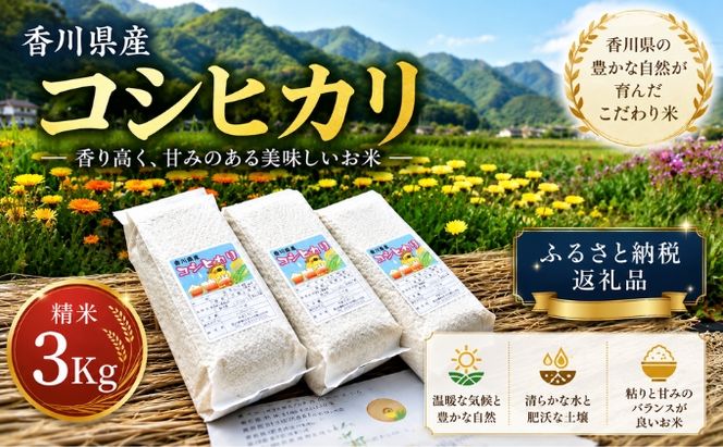 香川県産コシヒカリ（精米3kg）米 白米 お米